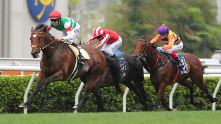 有片 | 鍵琴高奏勇奪女皇盃 堀宣行：料12月再來(lái)爭(zhēng)香港盃