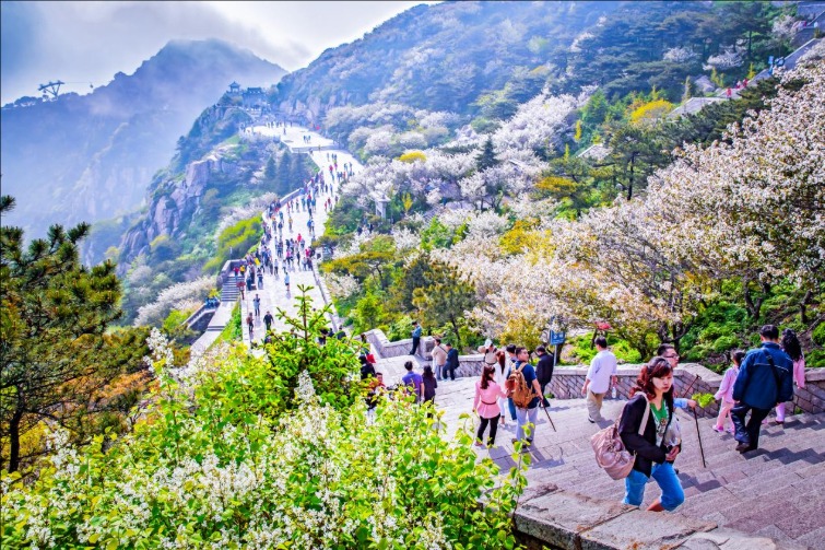 泰山景區(qū)今年第200萬(wàn)名遊客誕生！