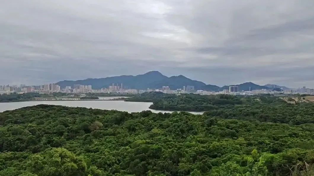 港深地名故事｜深圳·寶安石巖地理志：青草排