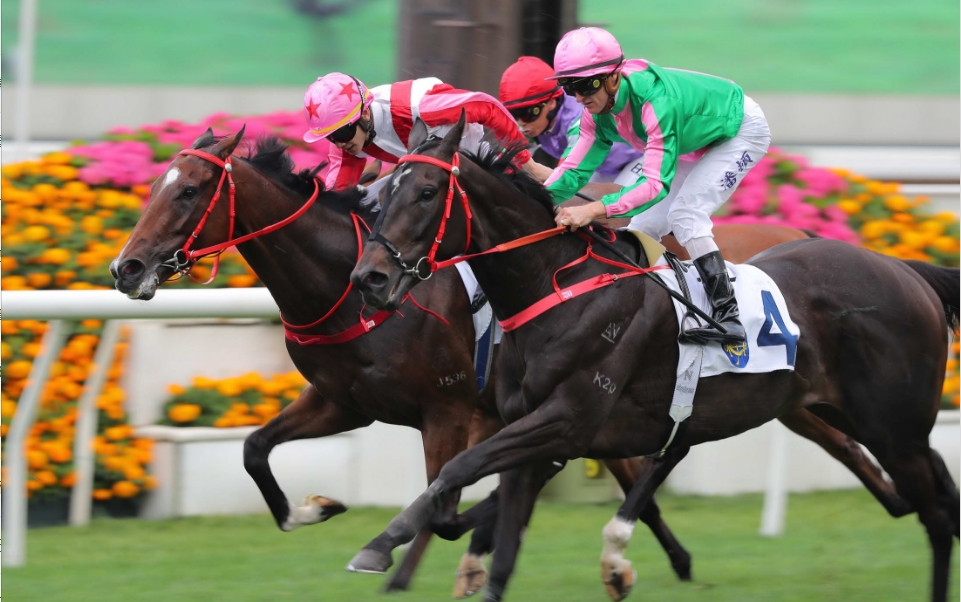 有片｜有目共賞勇奪皇太后紀(jì)念盃 告東尼在港騎練累積2500W