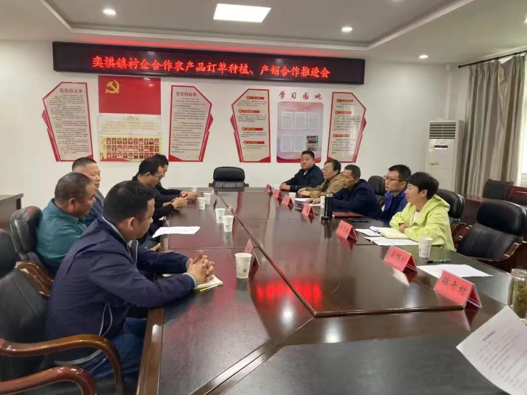 皖屯溪區(qū)：黨建引擎激發(fā)振興動能