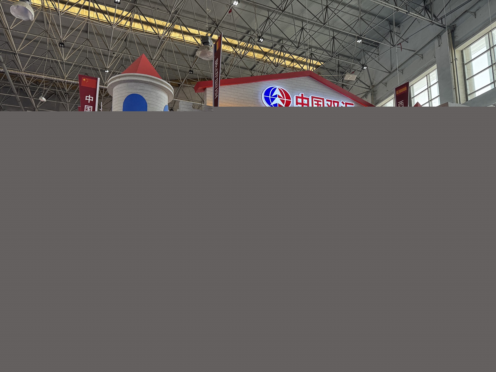 萬宏偉：以創(chuàng)新驅(qū)動 為中國食品工業(yè)發(fā)展貢獻雙匯力量