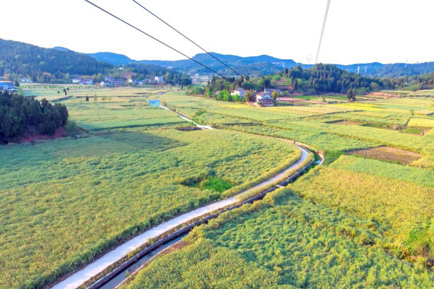 四川綿陽「遊仙菜籽油」入選全國名特優(yōu)新農(nóng)產(chǎn)品名錄