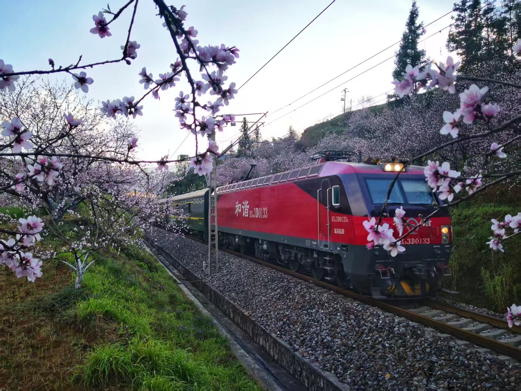 國鐵昆明局創(chuàng)新推出「坐著火車游雲(yún)南」便民列車
