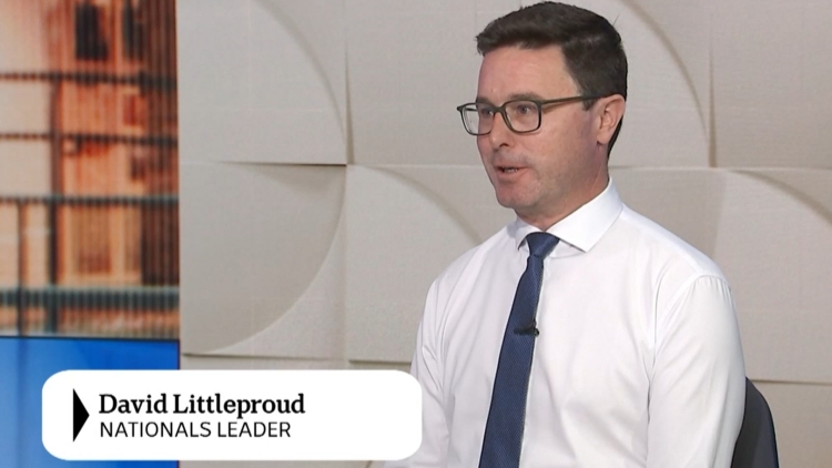 澳大利亞聯(lián)盟黨敗選後分裂