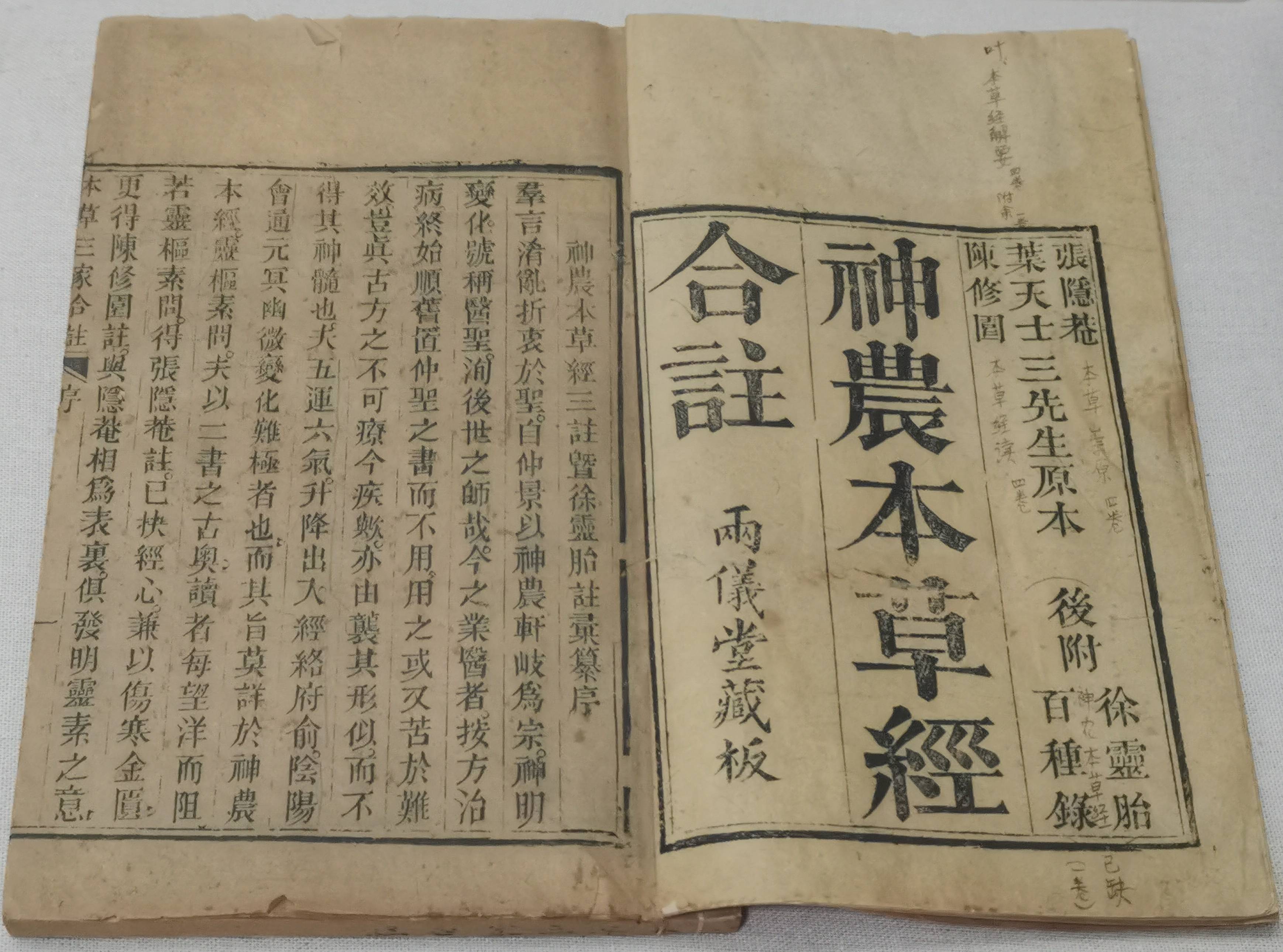 全鏈協(xié)同下的價(jià)值躍升  關(guān)於吉林人參高質(zhì)量發(fā)展的觀察與思考（下）