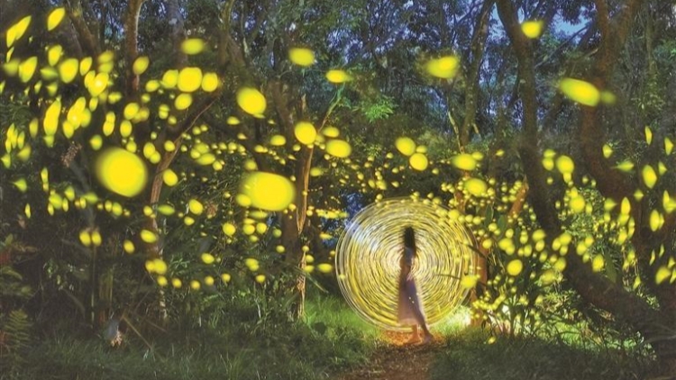 西涌國際暗夜社區(qū)邀您共赴光影之約