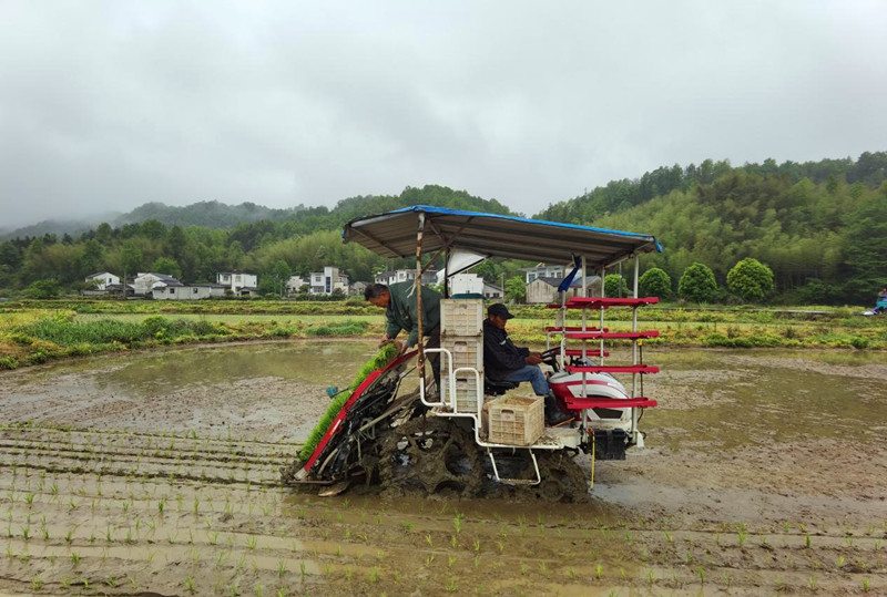 黟縣「兵支書(shū)」蔣勇：戎裝換農(nóng)裝 初心永向陽(yáng)
