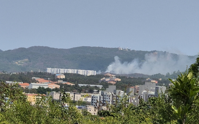 韓國(guó)發(fā)生墜機(jī)事故 人員傷亡情況暫不明