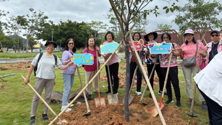 紫雲(yún)漫道連深港?同心龍舟載鄉(xiāng)情?香港大鵬同鄉(xiāng)會(huì)綠美行動(dòng)續(xù)寫家國(guó)情懷