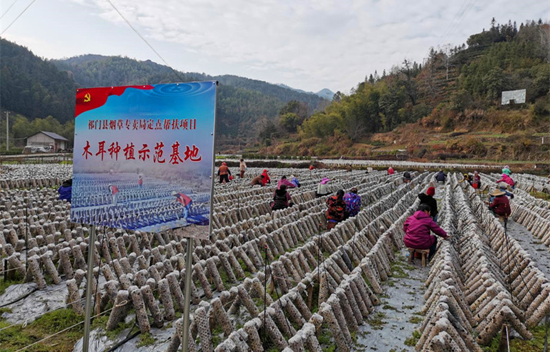 皖祁門：結(jié)對(duì)幫扶助力鄉(xiāng)村振興