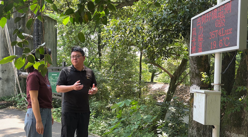 科技管護(hù)精準(zhǔn)防治 皖屯溪區(qū)讓「綠色文物」煥發(fā)新活力