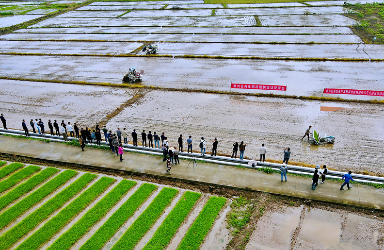 率先建成！打造山區(qū)特色農(nóng)事服務(wù)綜合體之「徽州樣板」