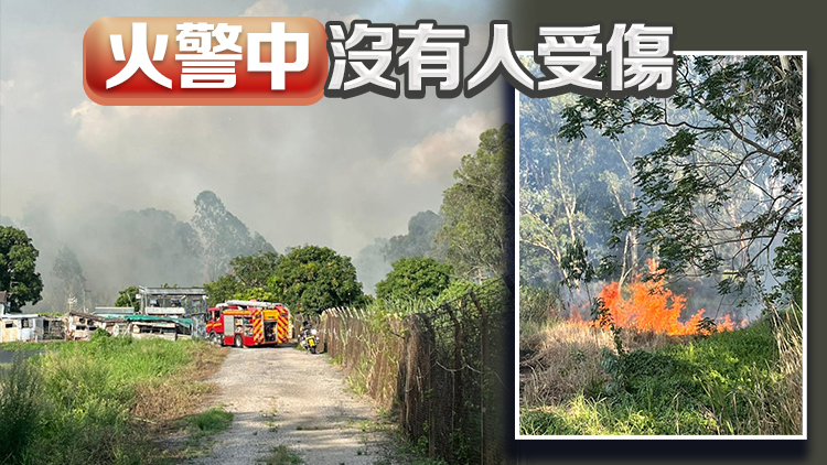 元朗南生圍草原起火燒逾13小時(shí) 消防通宵撲熄