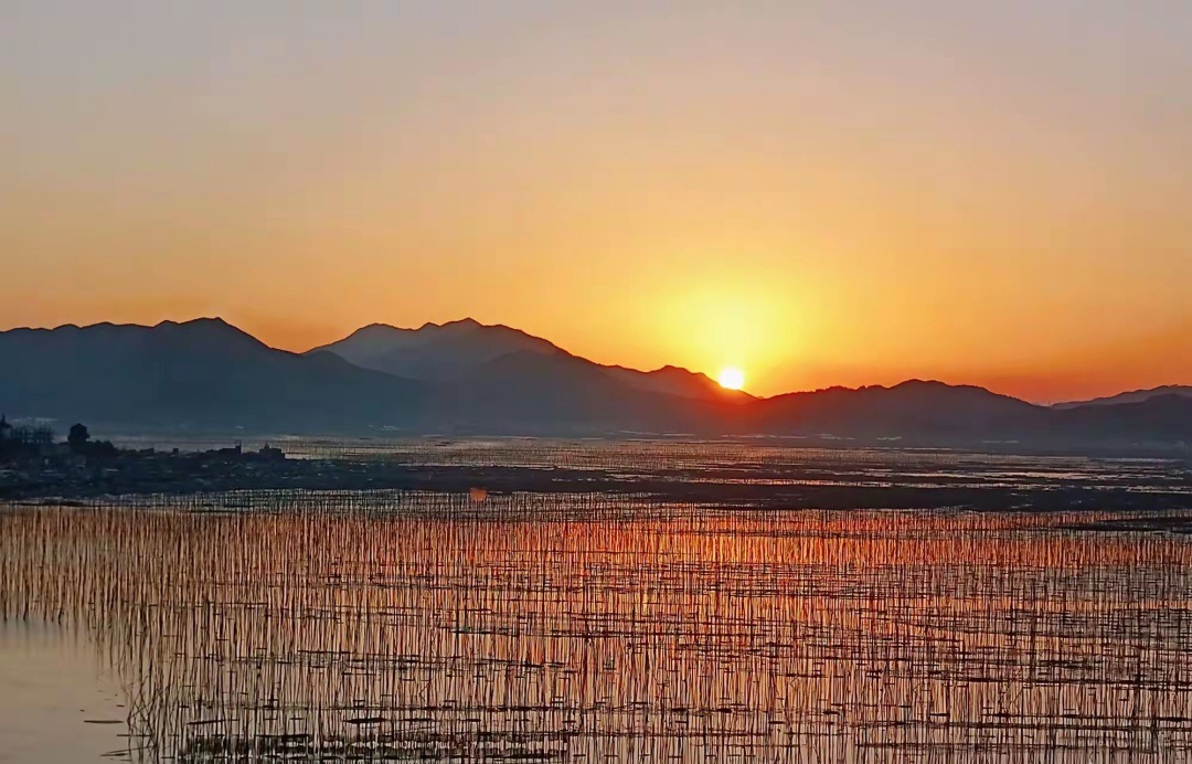 【長(zhǎng)在隨筆】你的笑容，留在我的記憶里