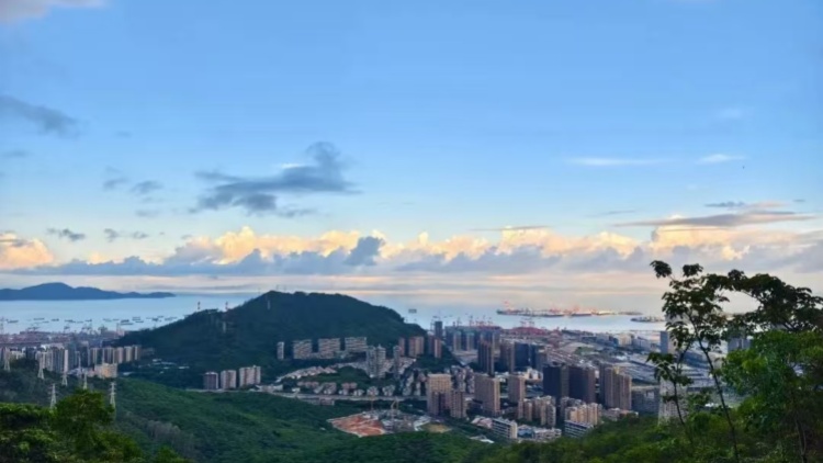 南山區(qū)第八屆大學(xué)生社會創(chuàng)新項目大賽啟動報名