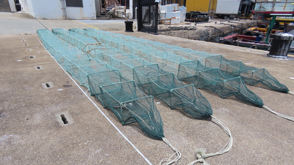 一艘本地漁船涉非法使用蛇籠捕魚 船長及6名內(nèi)地漁工接受調(diào)查