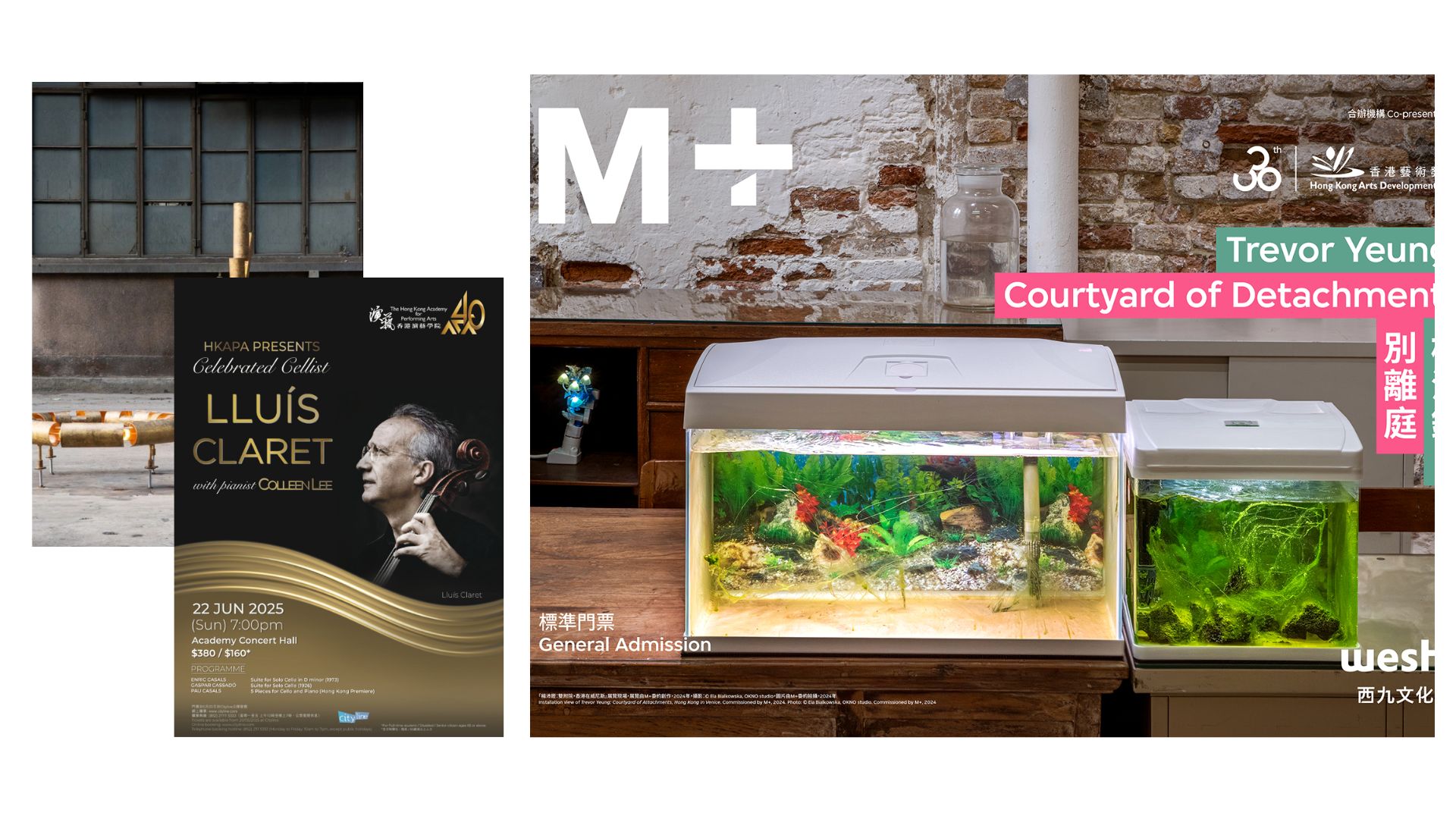 有片 | M+再現(xiàn)楊沛鏗威尼斯雙年展藝術(shù)裝置【一周港藝】香港文化藝術(shù)活動(dòng)一周菜單（16/6-22/6）