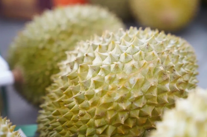 26小時(shí)鎖鮮！江夏智造破局東南亞榴槤「金貴」時(shí)代