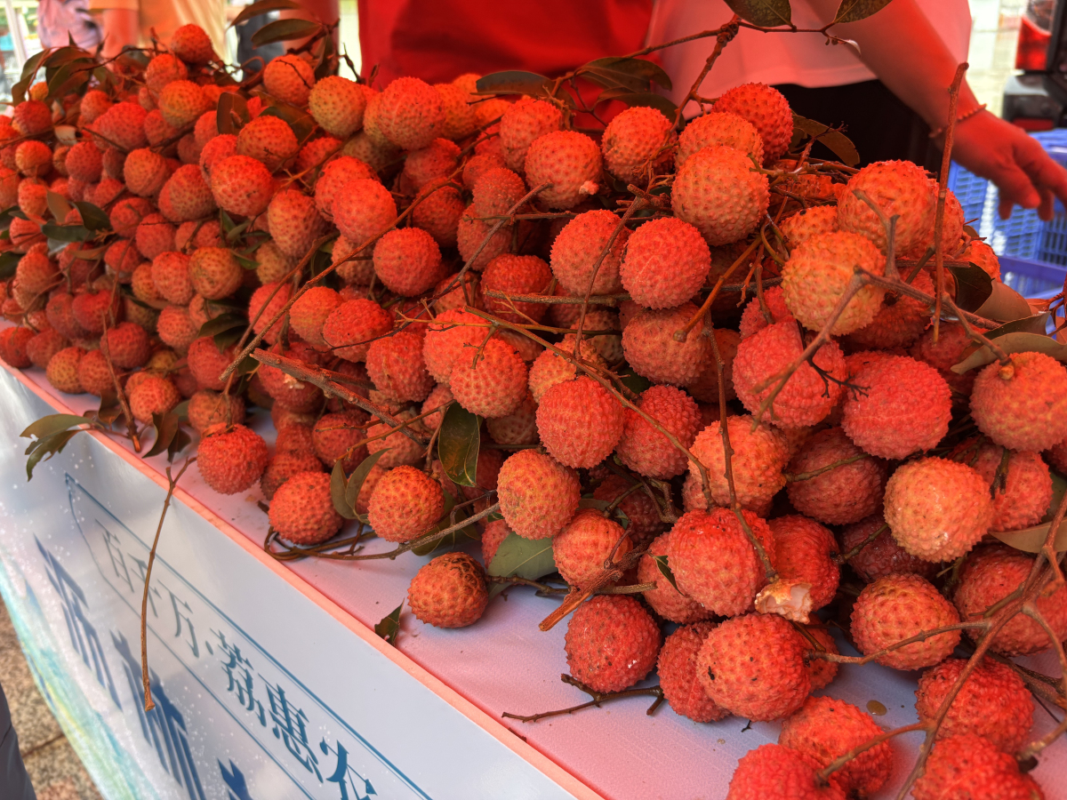 2025年惠州瀝林鎮(zhèn)荔枝交易市場(chǎng)開市