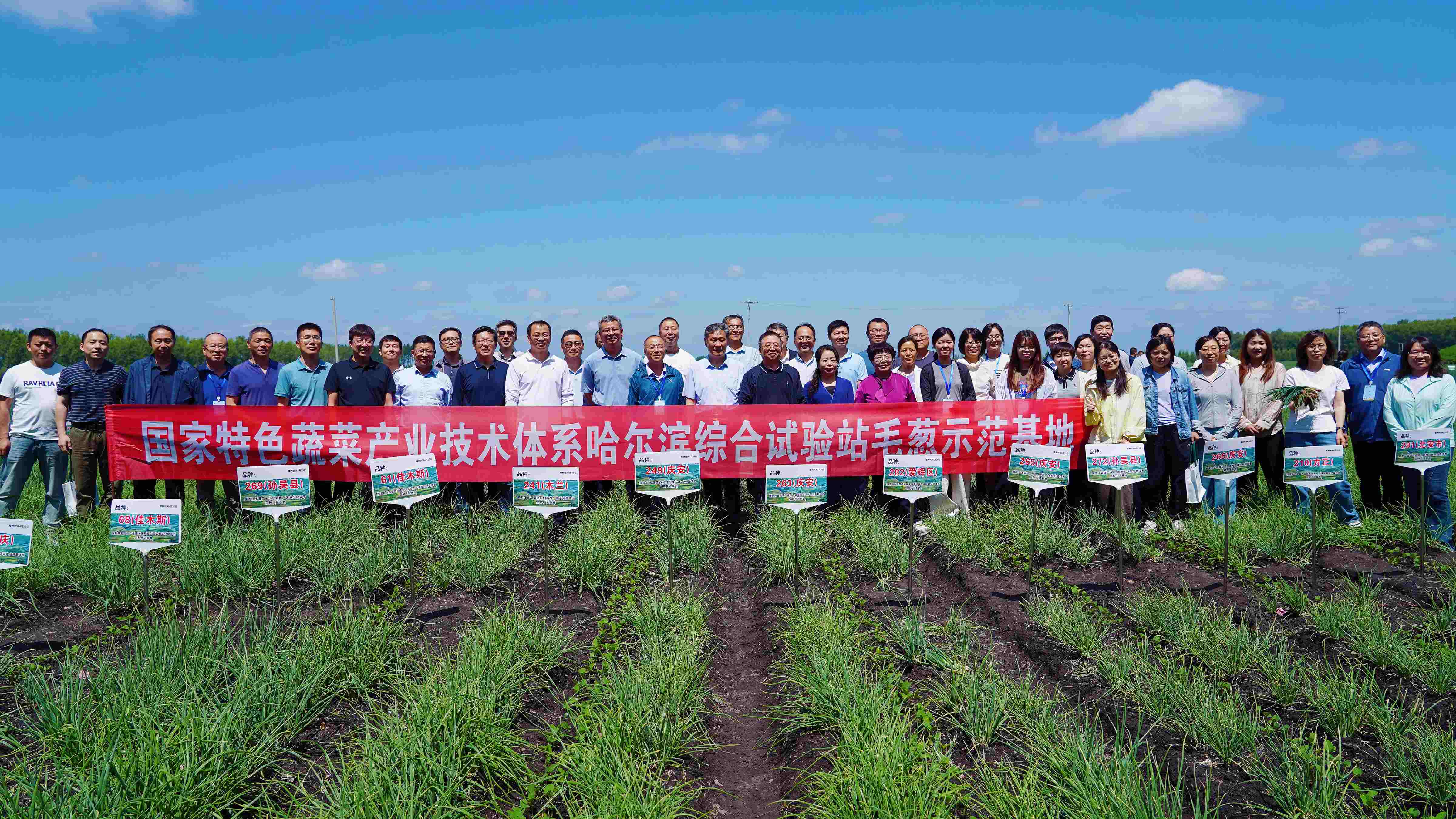 全國(guó)特色蔬菜領(lǐng)域?qū)＜矣^摩把脈黑龍江蔥蒜產(chǎn)業(yè) 科技賦能「寒地龍菜」高質(zhì)量發(fā)展