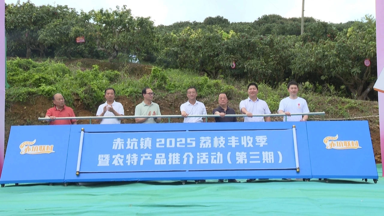 汕尾海豐赤坑鎮(zhèn)舉辦2025荔枝豐收季暨農特產品推介活動