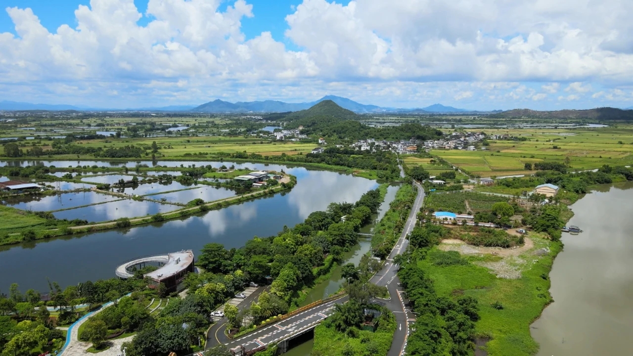 汕尾海豐附城鎮(zhèn)新山村：打造「紅色」「綠色」「古色」社會主義新農村