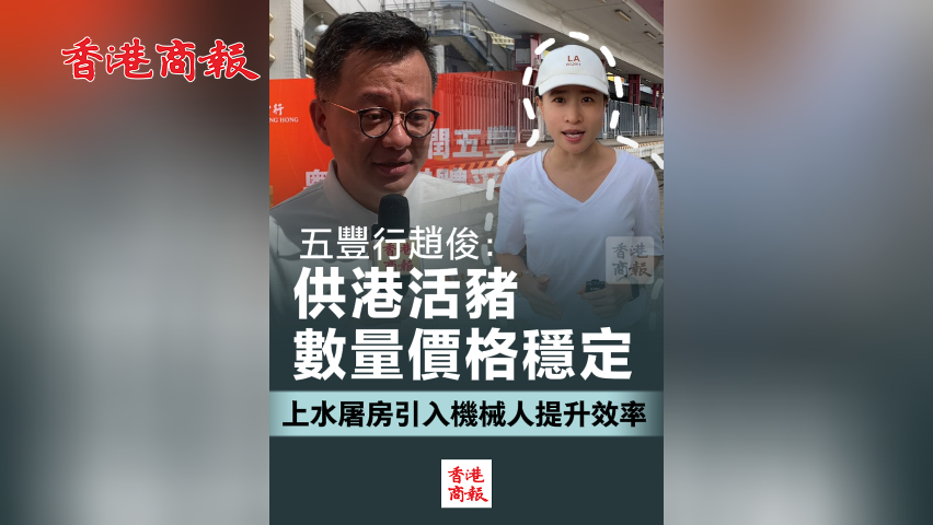 有片丨五豐行趙?。汗└刍钬i數(shù)量價格穩(wěn)定 上水屠房引入機械人提升效率
