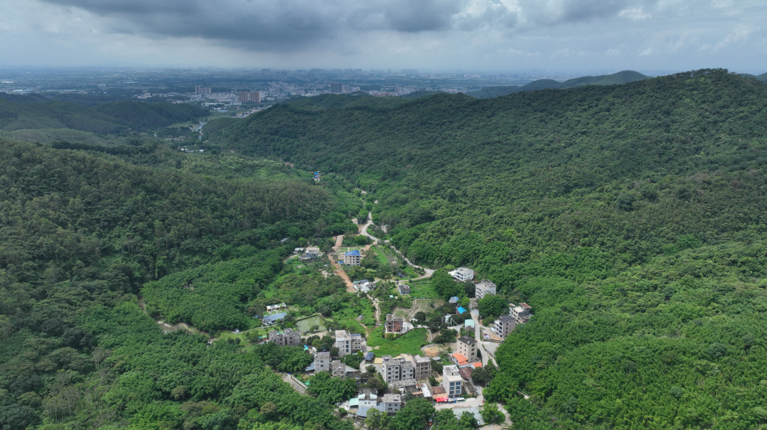 有片︱【百千萬一齊港】環(huán)湖碧道繪就鄉(xiāng)村振興新畫卷 博羅橫河鎮(zhèn)打造「運動+產業(yè)」融合發(fā)展標桿