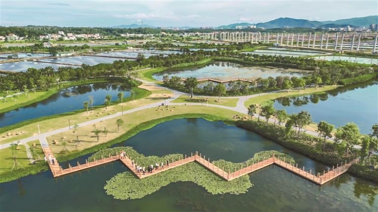 中山三年治水攻堅(jiān) 基本消除黑臭河涌