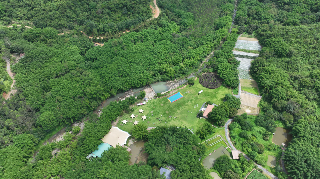 有片︱【百千萬一齊港】蘭門空心村蝶變「美學樣板」 博羅徐田點亮鄉(xiāng)村振興路