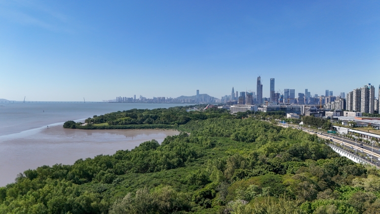 深莞惠聯(lián)合出臺(tái)廣東省首個(gè)都市圈生態(tài)環(huán)保規(guī)劃