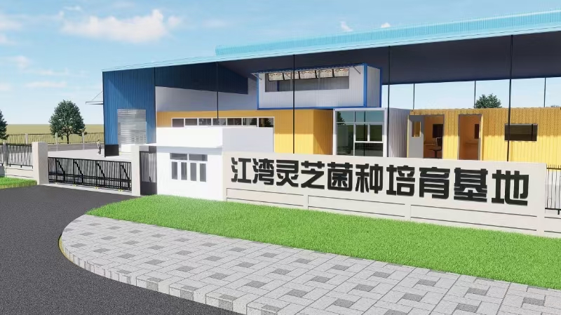 粵北武江區(qū)江灣鎮(zhèn)：探索林下經(jīng)濟密碼 開啟「致富之傘」