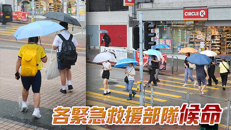 受熱帶氣旋「丹娜絲」影響 所有日校周五停課