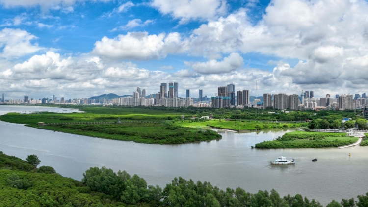 深圳創(chuàng)新實(shí)施人工智能培訓(xùn)課程「十百千」計(jì)劃