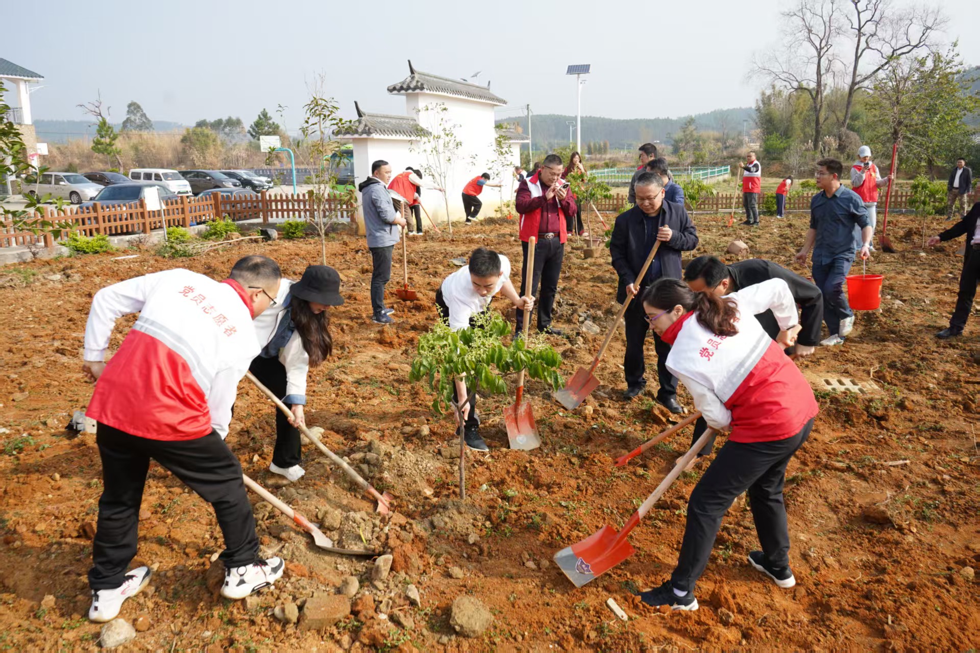 粵北武江區(qū)九聯(lián)村的「百千萬」答卷：環(huán)境蝶變 產業(yè)興旺 綠美成風