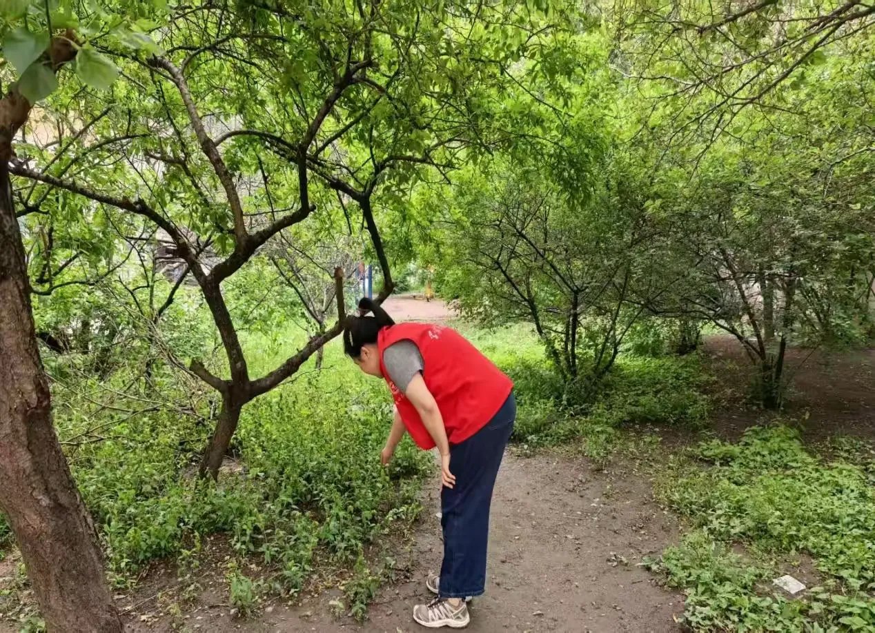 哈市香坊區(qū)新成街道開展禁毒宣傳活動(dòng) 「雙線並進(jìn)」築防線