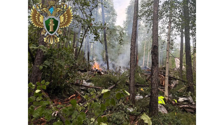 首批俄失事客機墜毀現(xiàn)場圖片公布