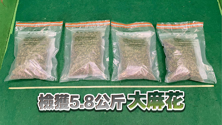 海關(guān)葵涌檢值120萬元懷疑大麻花 拘捕28歲男子