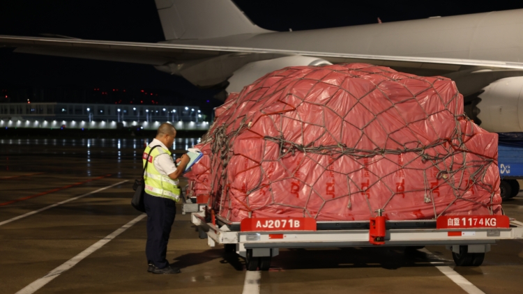 超2.5萬噸 深圳機(jī)場(chǎng)旺季荔枝運(yùn)輸量創(chuàng)歷史新高