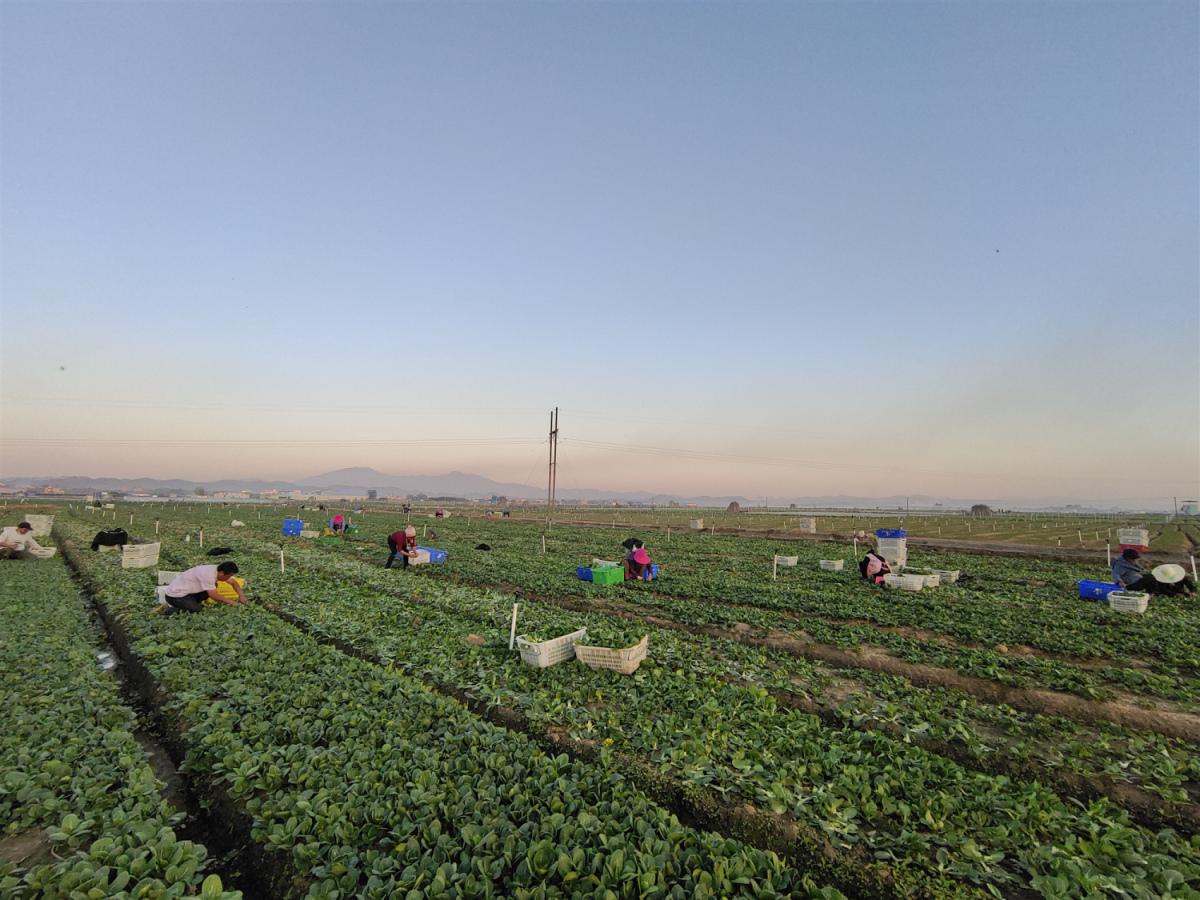 上半年GDP增7.2%  廣西賀州融入大灣區(qū)撬動(dòng)經(jīng)濟(jì)新版圖