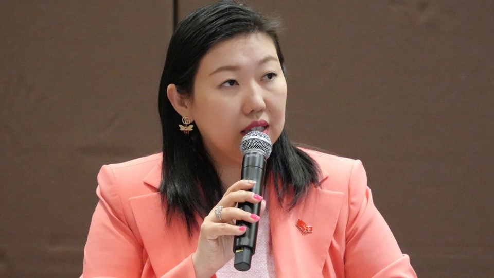 林琳譴責(zé)外部勢力雙重標(biāo)準(zhǔn)