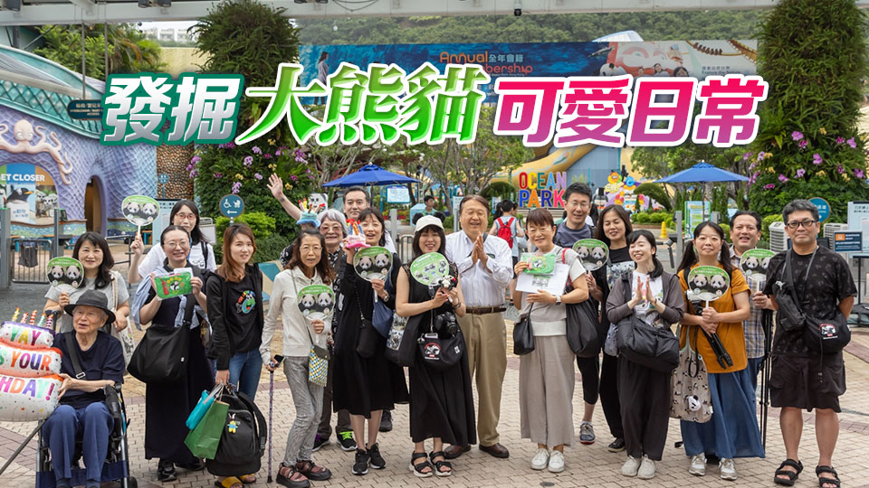 旅發(fā)局與日本旅行社乘熊貓熱策劃「大熊貓慶生遊港」之旅 賀大熊貓龍鳳胎一歲生日