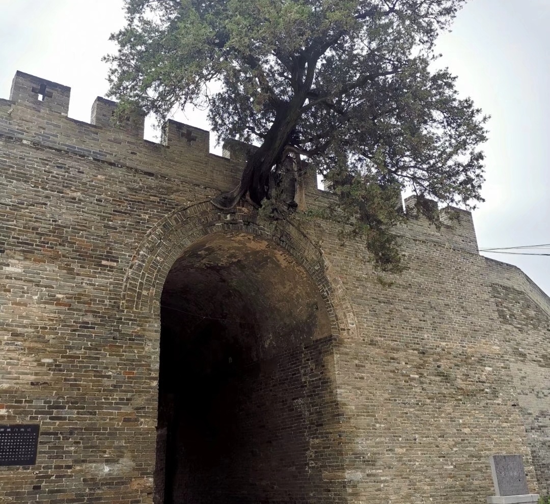 【長在隨筆】再上洧川