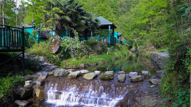 【港商觀察】皖黟縣宏潭：以「源頭擔(dān)當(dāng)」解碼綠色發(fā)展新路徑