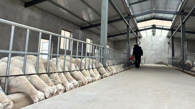 甘肅渭源：一條綠色循環(huán)經(jīng)濟(jì)鏈串起多元產(chǎn)業(yè)