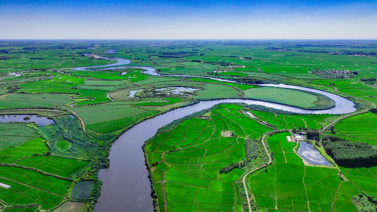 國家級生態(tài)原產(chǎn)地產(chǎn)品保護區(qū)為黑龍江慶安再添金名片