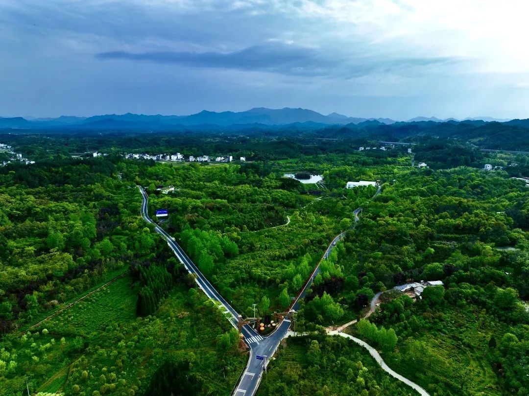 皖屯溪奕棋鎮(zhèn)：「兩長(zhǎng)」融合帶動(dòng)多元共治