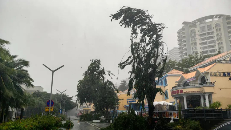 海南多地被「吹?！?！颱風「劍魚」有多兇悍？