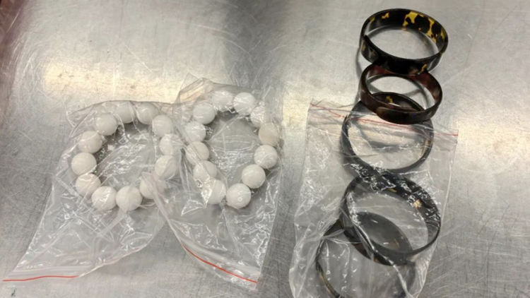 皇崗旅客攜玳瑁硨磲手串闖關(guān) 涉瀕危野生動(dòng)植物進(jìn)出口管理?xiàng)l例